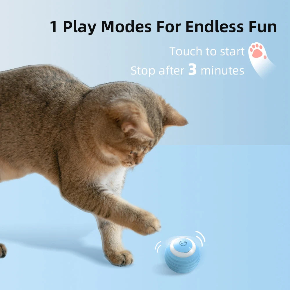 Petheartpoint - WhiskerWander Smart Interactive Ball