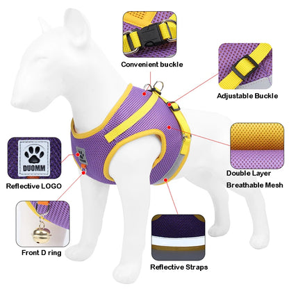 Petheartpoint - Pet Harness and Leash Set