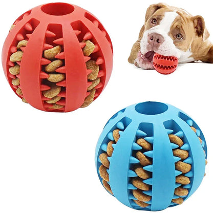 Petheartpoint - Pet Food Ball Toy