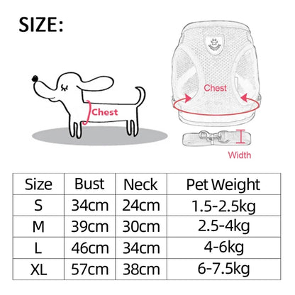 Petheartpoint - Pet Harness and Leash Set