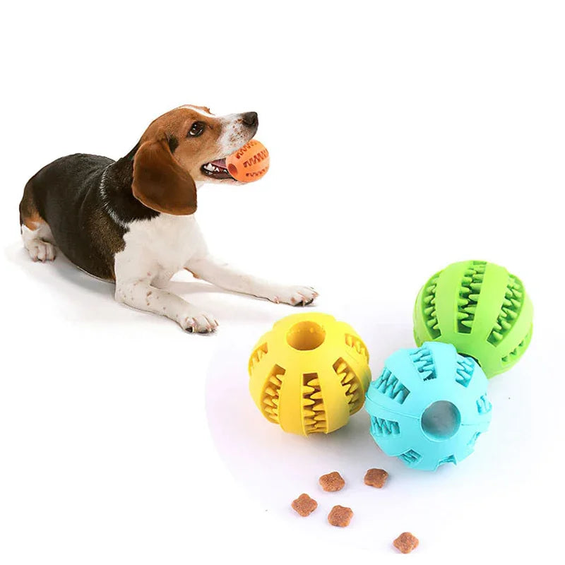 Petheartpoint - Pet Food Ball Toy