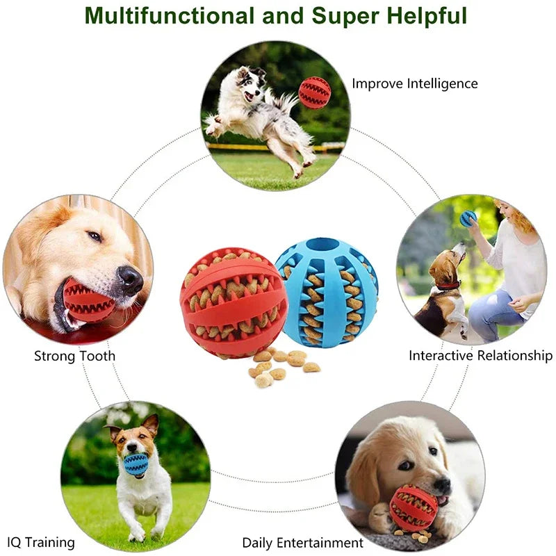 Petheartpoint - Pet Food Ball Toy