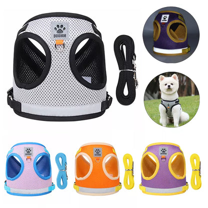 Petheartpoint - Pet Harness and Leash Set