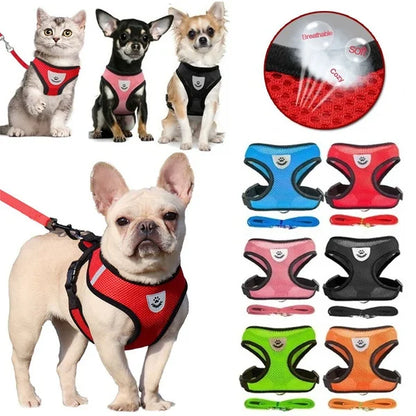 Petheartpoint - Pet Harness and Leash Set