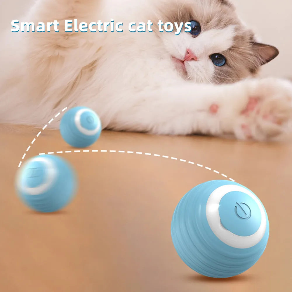 Petheartpoint - WhiskerWander Smart Interactive Ball