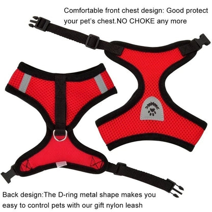 Petheartpoint - Pet Harness and Leash Set