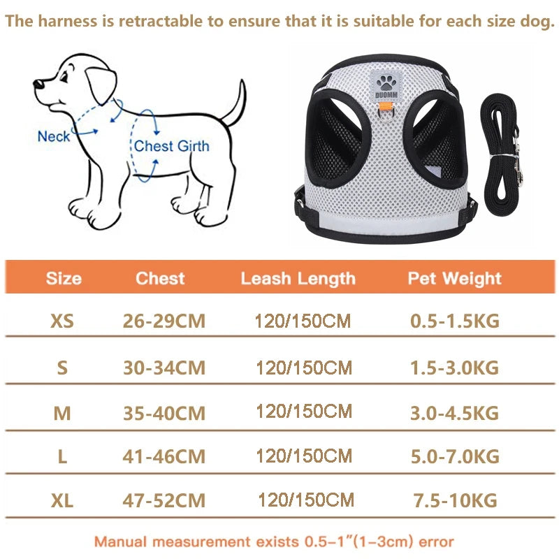 Petheartpoint - Pet Harness and Leash Set